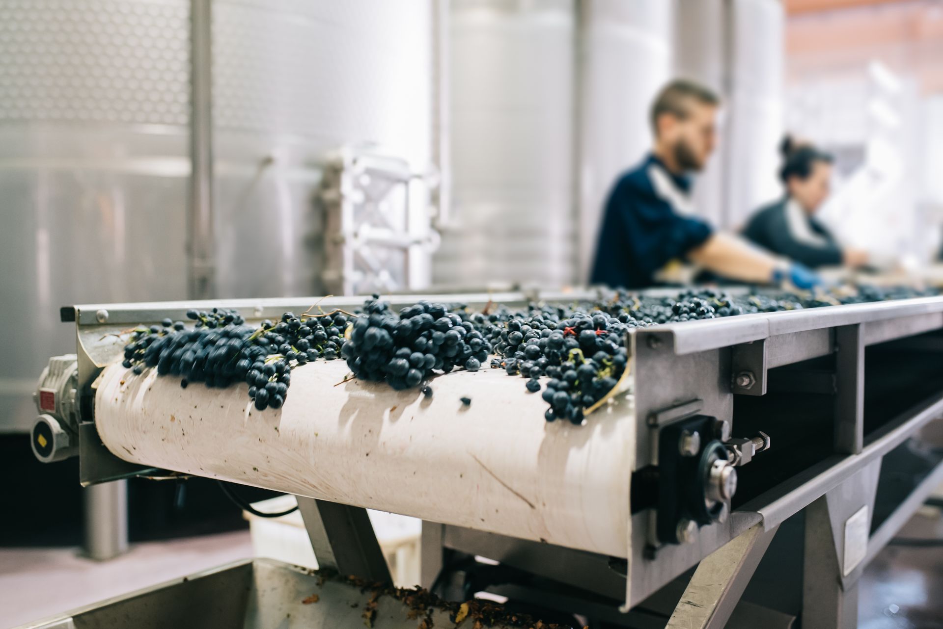 The Case for Winery ERP Solutions: Overcoming the Limitations of Point Solutions