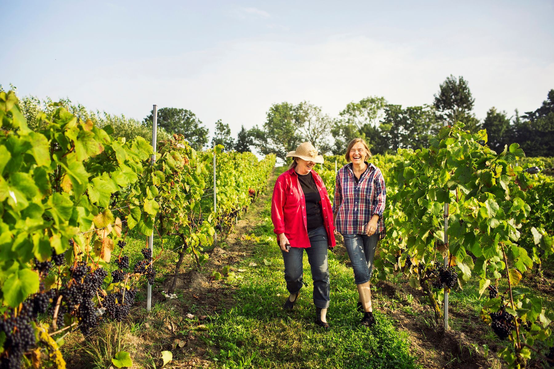 Succession Success: How to Smooth the Transition Between Generations at Your Winery