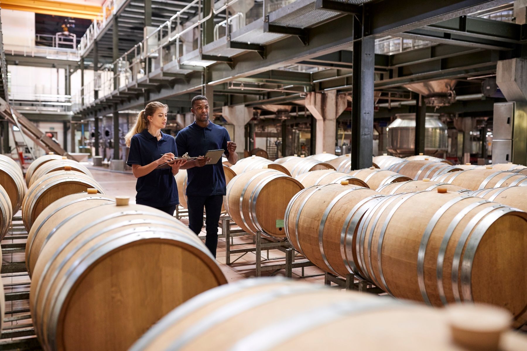 Is my bev-alc business ready for an erp system? Top questions to ask