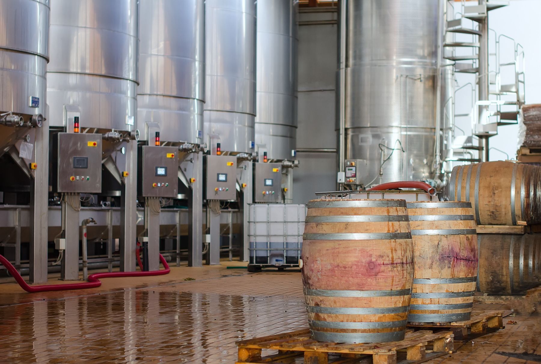 4 Ways Automation Can Save Your Winery Time AND Money