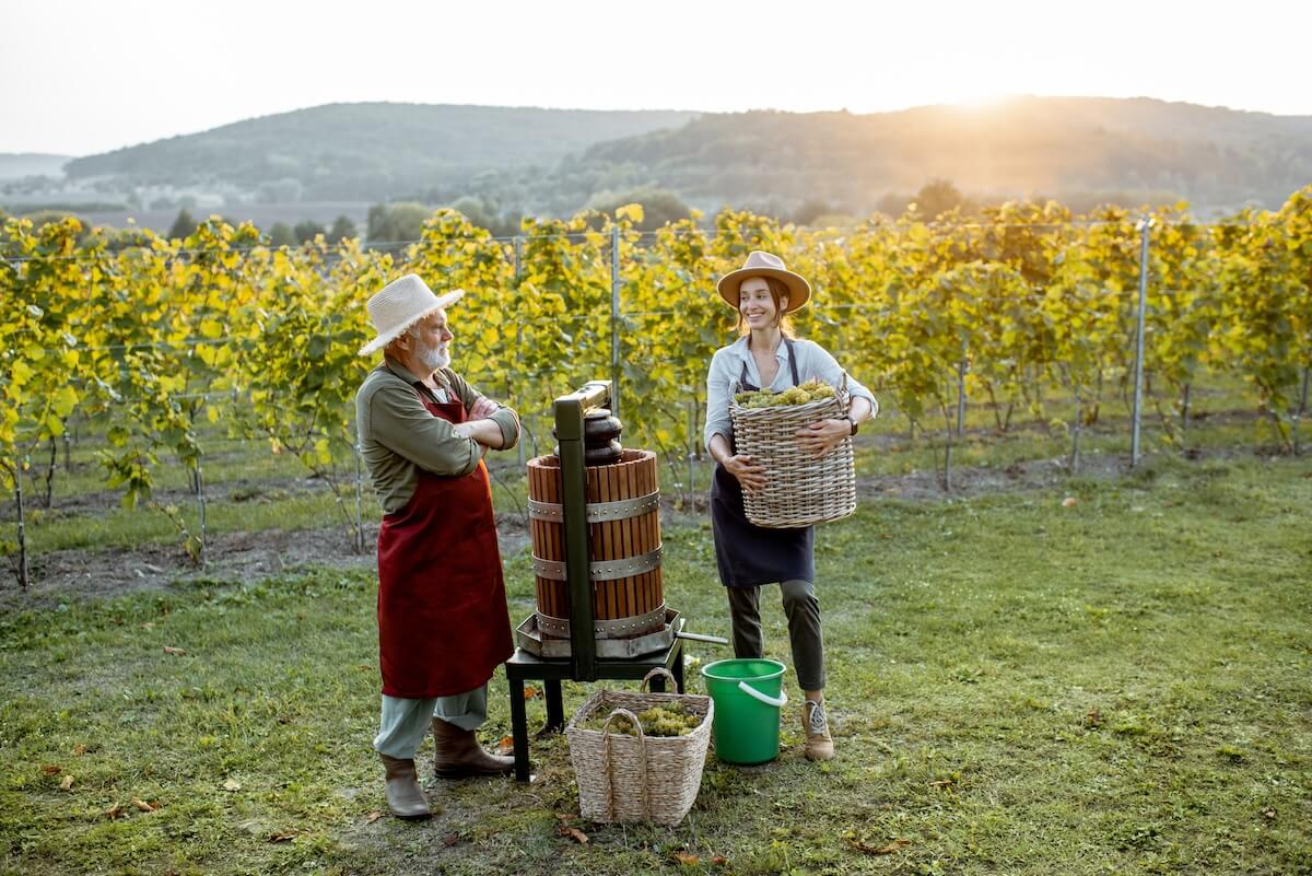 Is my bev-alc business ready for an erp system? Top questions to ask