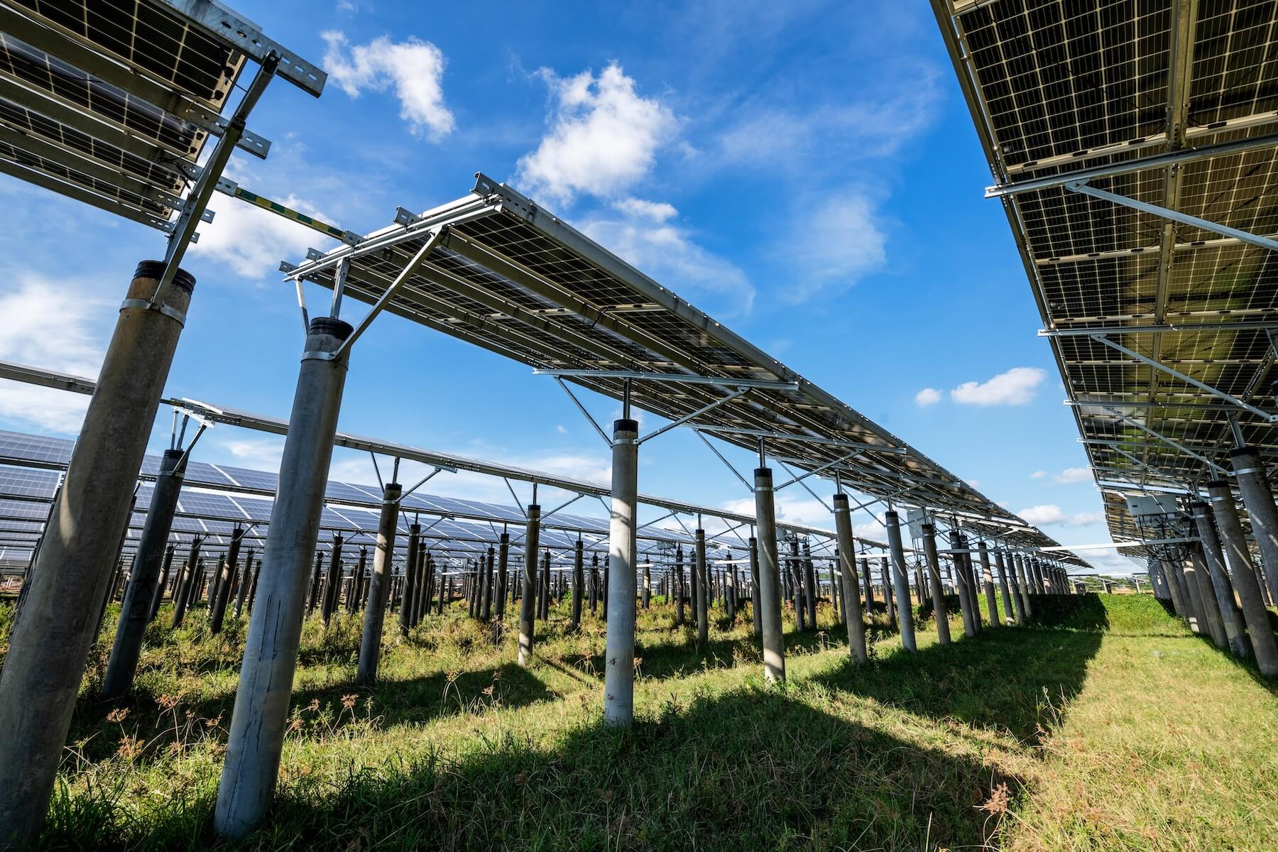 Raising a Glass to the Planet: How the #CraftedCommunity Leads the Way in Sustainability