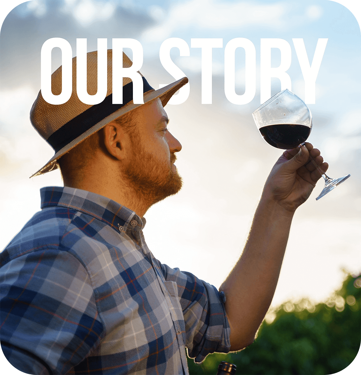 A young winemaker in the vineyard at dusk inspecting the color of a red wine