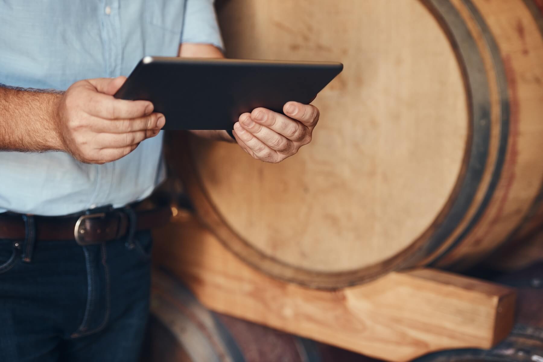 Man at winery looking at barrel data in the wine cellar