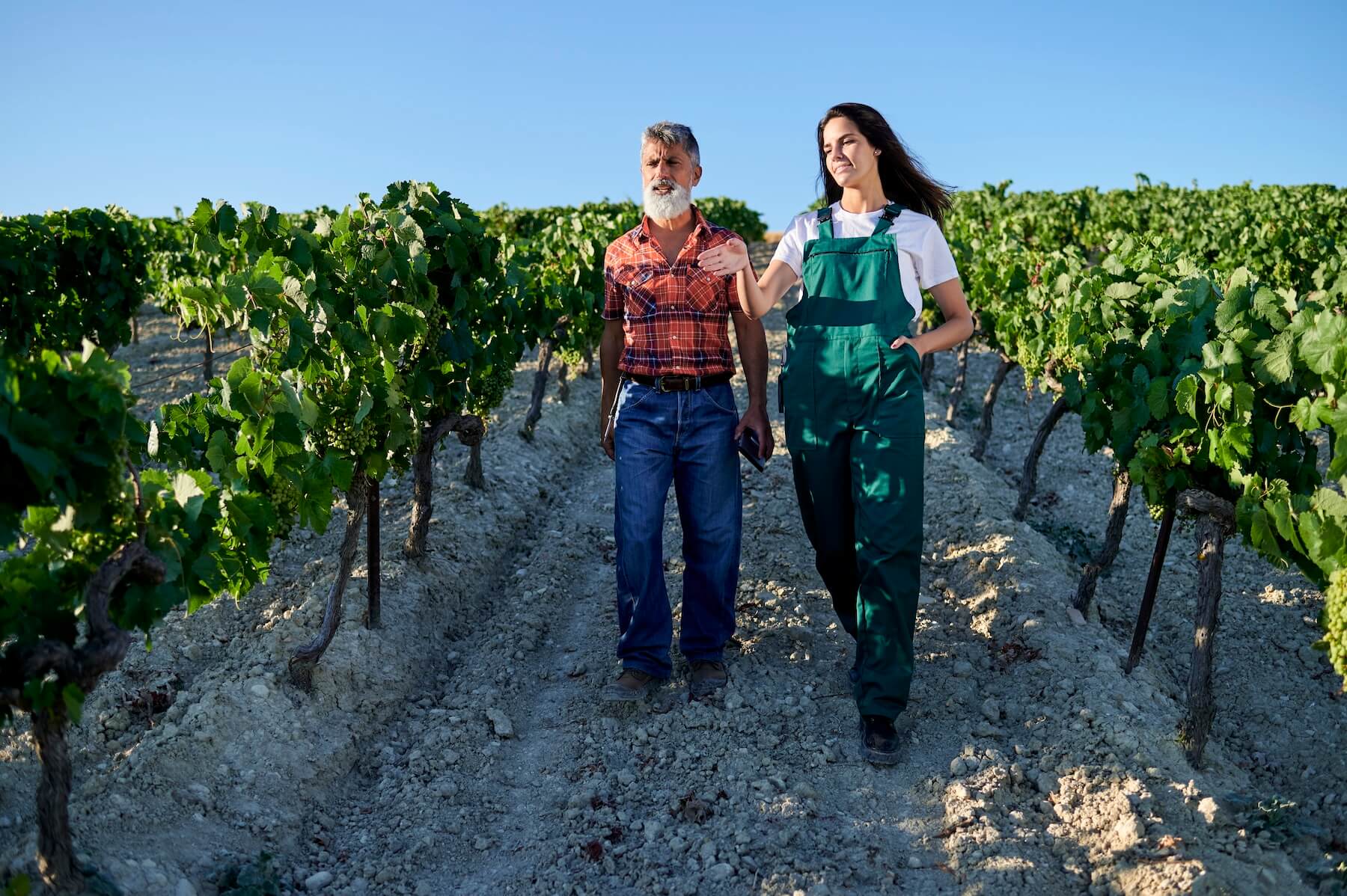 Organic Certification: Ditch the Paper Chase with Winery ERP Software